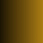 Thinoptics  – משקפי מרשם Wisp