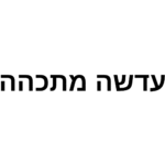 Thinoptics  – משקפי מרשם Connect Rx בצבע שקוף מבריק או מט